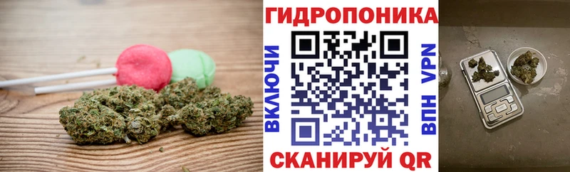 hydra как зайти  Североморск  Печенье с ТГК марихуана  где купить наркоту 