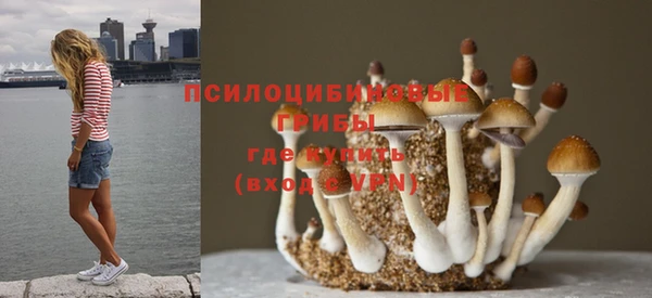 mdpv Абинск