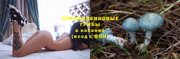 a pvp Абдулино